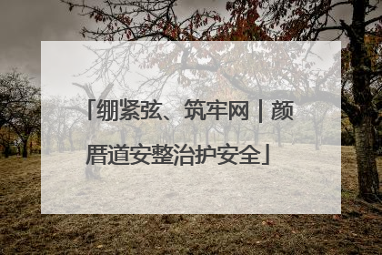 绷紧弦、筑牢网｜颜厝道安整治护安全