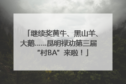 继续奖黄牛、黑山羊、大鹅……昆明禄劝第三届“村BA”来啦！