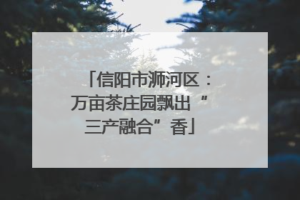 信阳市浉河区：万亩茶庄园飘出“三产融合”香