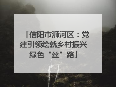 信阳市浉河区：党建引领绘就乡村振兴绿色“丝”路