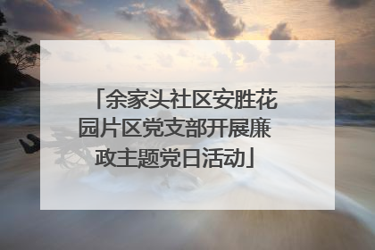 余家头社区安胜花园片区党支部开展廉政主题党日活动