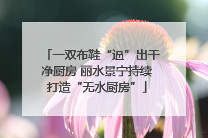 一双布鞋“逼”出干净厨房 丽水景宁持续打造“无水厨房”