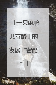 一只麻鸭共富路上的发展“密码”
