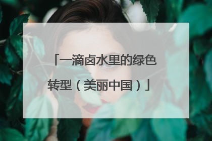 一滴卤水里的绿色转型（美丽中国）