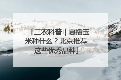 三农科普｜夏播玉米种什么？北京推荐这些优秀品种