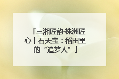 三湘匠韵·株洲匠心丨石天宝：稻田里的“追梦人”