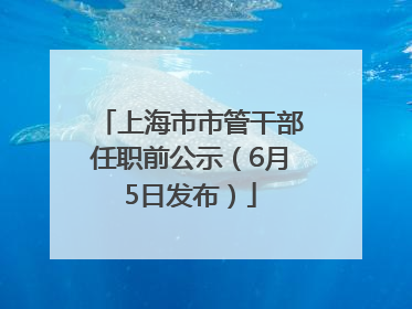 上海市市管干部任职前公示（6月5日发布）