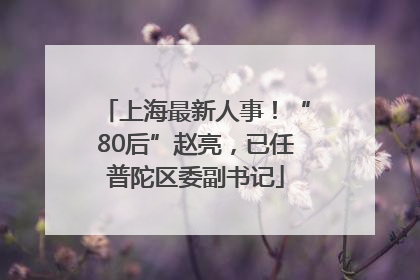 上海最新人事！“80后”赵亮，已任普陀区委副书记