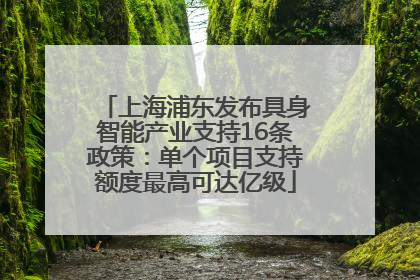 上海浦东发布具身智能产业支持16条政策：单个项目支持额度最高可达亿级