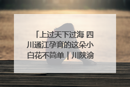 上过天下过海 四川通江孕育的这朵小白花不简单｜川陕渝网络名人巴中行