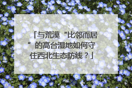 与荒漠“比邻而居”的高台湿地如何守住西北生态防线？