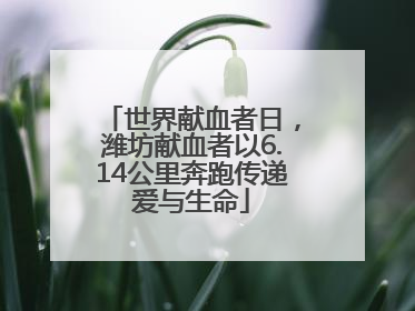 世界献血者日，潍坊献血者以6.14公里奔跑传递爱与生命