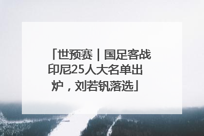 世预赛｜国足客战印尼25人大名单出炉，刘若钒落选