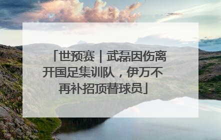 世预赛｜武磊因伤离开国足集训队，伊万不再补招顶替球员