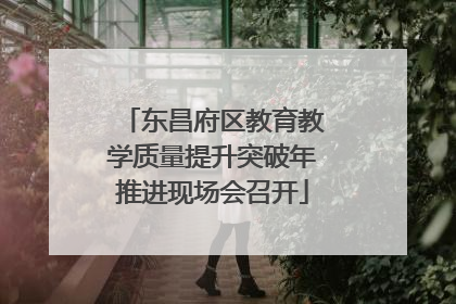 东昌府区教育教学质量提升突破年推进现场会召开