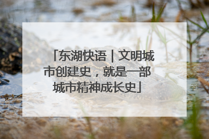 东湖快语｜文明城市创建史，就是一部城市精神成长史