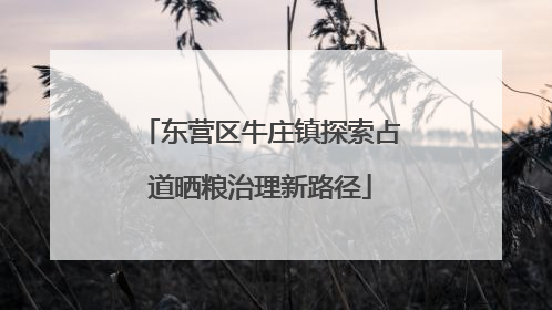 东营区牛庄镇探索占道晒粮治理新路径
