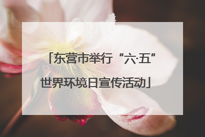 东营市举行“六·五”世界环境日宣传活动