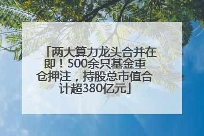 两大算力龙头合并在即！500余只基金重仓押注，持股总市值合计超380亿元