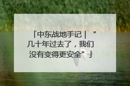 中东战地手记｜“几十年过去了，我们没有变得更安全”