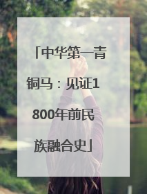 中华第一青铜马：见证1800年前民族融合史