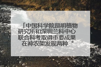 中国科学院昆明植物研究所和深圳兰科中心联合科考取得重要成果 在神农架发现两种“国保”级兰花