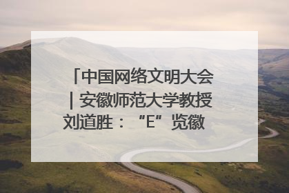 中国网络文明大会｜安徽师范大学教授刘道胜：“E”览徽风，构筑中华民族共有精神家园