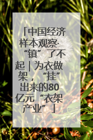 中国经济样本观察·“镇”了不起｜为衣做架，“挂”出来的80亿元“衣架产业”