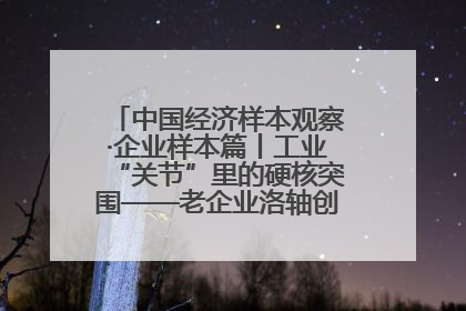 中国经济样本观察·企业样本篇丨工业“关节”里的硬核突围——老企业洛轴创新蝶变启示录