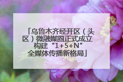乌鲁木齐经开区（头区）微融媒圈正式成立 构建“1+5+N”全媒体传播新格局