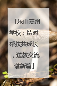 乐山嘉州学校：结对帮扶共成长，送教交流谱新篇