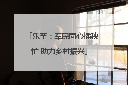 乐至：军民同心插秧忙 助力乡村振兴