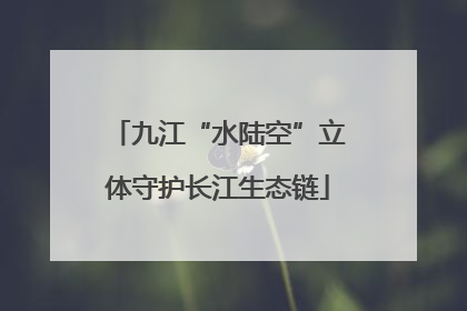 九江“水陆空”立体守护长江生态链
