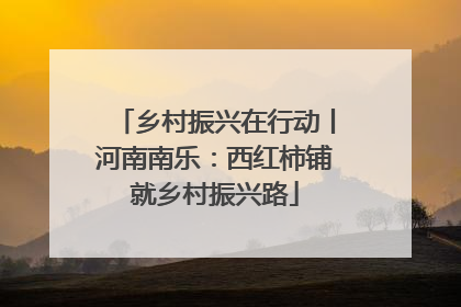 乡村振兴在行动丨河南南乐：西红柿铺就乡村振兴路