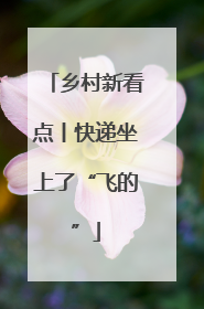 乡村新看点丨快递坐上了“飞的”