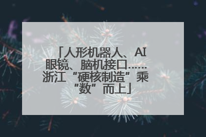 人形机器人、AI眼镜、脑机接口……浙江“硬核制造”乘“数”而上