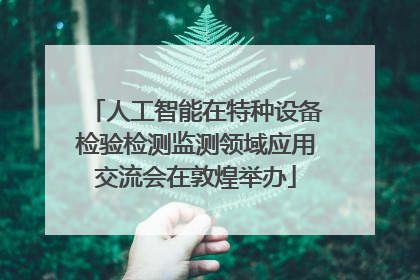 人工智能在特种设备检验检测监测领域应用交流会在敦煌举办