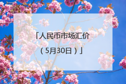 人民币市场汇价（5月30日）