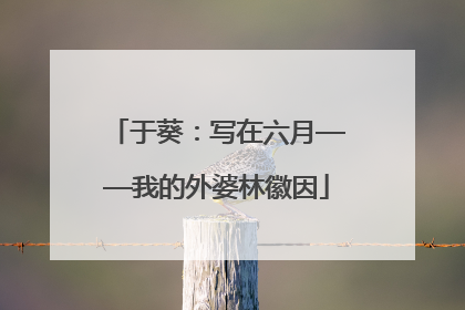 于葵：写在六月——我的外婆林徽因