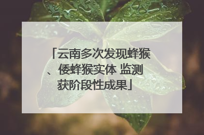 云南多次发现蜂猴、倭蜂猴实体 监测获阶段性成果
