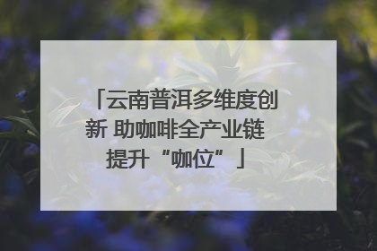 云南普洱多维度创新 助咖啡全产业链提升“咖位”