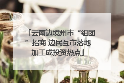 云南边境州市“组团”招商 边民互市落地加工成投资热点