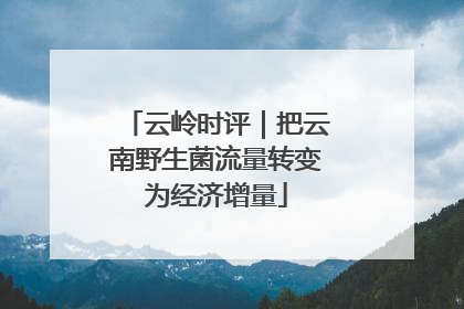 云岭时评｜把云南野生菌流量转变为经济增量