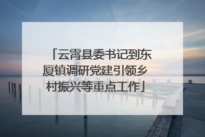 云霄县委书记到东厦镇调研党建引领乡村振兴等重点工作