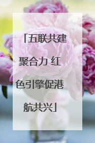 五联共建聚合力 红色引擎促港航共兴