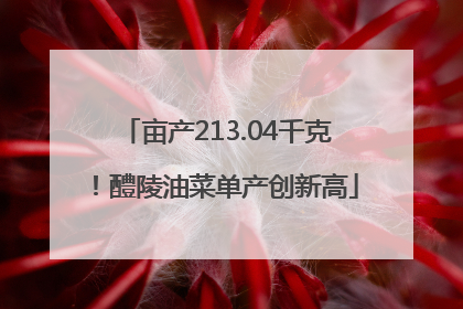 亩产213.04千克！醴陵油菜单产创新高