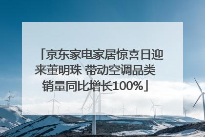 京东家电家居惊喜日迎来董明珠 带动空调品类销量同比增长100%