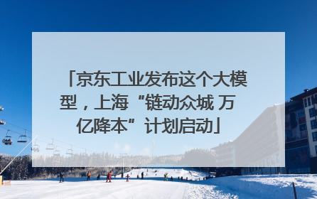 京东工业发布这个大模型，上海“链动众城 万亿降本”计划启动