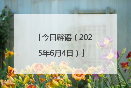 今日辟谣（2025年6月4日）