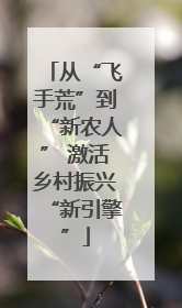 从“飞手荒”到“新农人” 激活乡村振兴“新引擎”